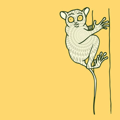 Lemur on a tree