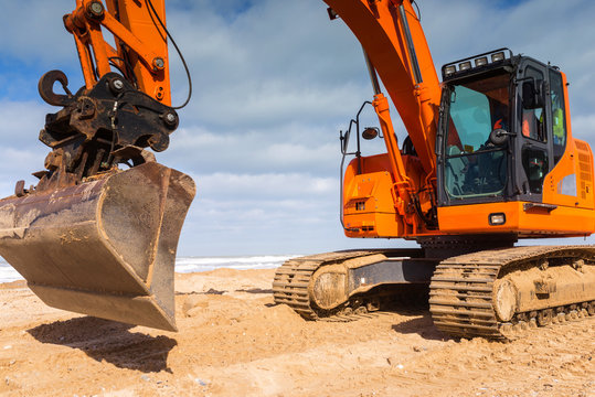 grue sur la plage
