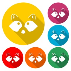 Silhouette of a raccoon - Illustration