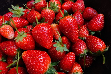 Fresh ripe perfect strawberry 
