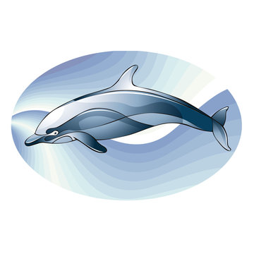 Dolphin in a oval