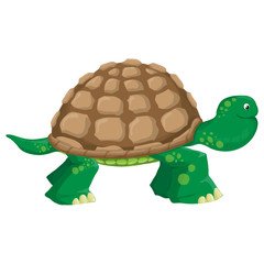 Isolated illustration of a land tortoise
