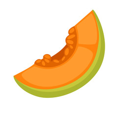 Slice of fresh melon