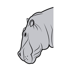 hippo head animal naturalist wildlife style, vector illustration