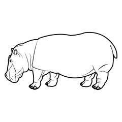 hippo standing animal naturalist wildlife style, vector illustration