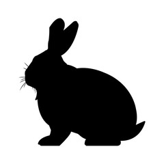 wild rabbit nature rodent farm image vector illustration