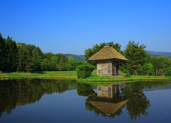 Obraz premium 夏の荒神神社