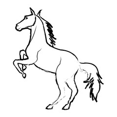 horse on two legs mammal equine wild vector illustration