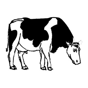 holstein cow standing farm bovine image vector illustration