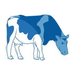 holstein cow standing farm bovine image vector illustration