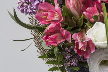 Colorful flower bouquet in bloom isolated on a white background