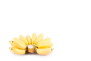 organic hand of golden bananas   on white background healthy Pisang Mas Banana fruit food isolated

