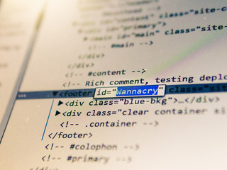 Web Site Source Code, Wannacry Virus