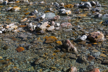 Obraz premium crystal clear water and colorful stones of wild river verzasca in switzerland