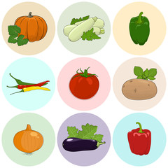 Round Colored Icons Vegetables, Tomato, Onion and Potato, Green and Red Sweet Pepper, Icons Zucchini Courgette and Hot Pasilla Chile Pepper, Pumpkin with White Cabbage, Eggplant, Vector Illustration
