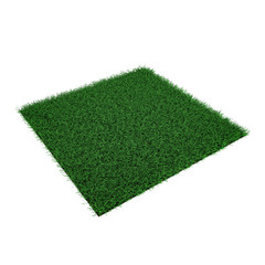 Square of green grass field on white. 3D illustration