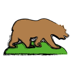 grizzly bear icon over white background. colorful design. vector illustration