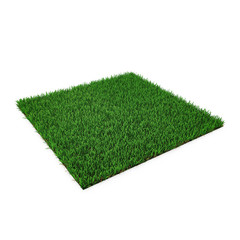 Square of green grass field on white. 3D illustration