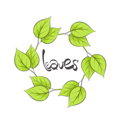 leaves illustration