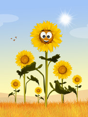 Obraz premium cute sunflowers field