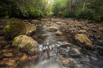 Mountain stream in the forest. Long exposure.