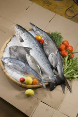 mix fresh fish on bamboo round tray with fresh vegetables with ice on brown background