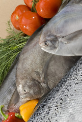 mix fresh fish on bamboo round tray with fresh vegetables with ice on brown background
