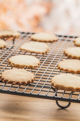 Homemade biscuits in a cooling rack