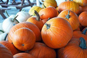 Pile of Pumpkins