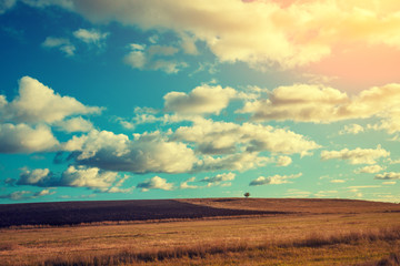 Arable field with cloudy sky and the sun