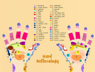 hand reflexology chart