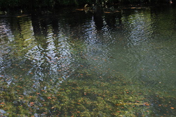 PARCO LE SORGENTI