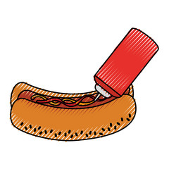delicious hot dog with sauce bottle vector illustration design