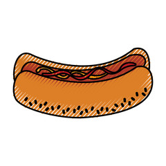 delicious hot dog icon vector illustration design