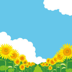 Fototapeta premium ひまわり 風景イラスト