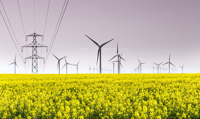 Windenergie