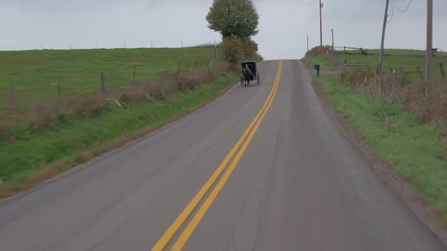 CLOSE UP: Traditional Amish family in horse-drawn carriage traveling past lush green pasture fields in picturesque country. Vintage Amish buggy traveling along the road in Christian village, Ohio, USA