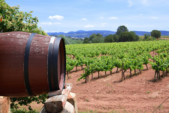 Wooden wine barrel against a vineyard landscape. Cloudy sky and empty copy space for Editor's text.