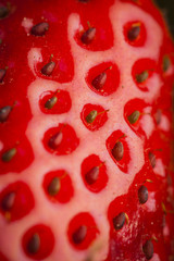 Close up of a strawberry