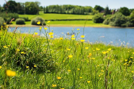 Bewl water reservoir in Lamberhurst, Kent, England. View of the river, selective focus