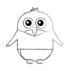 cute penguin with jacket kawaii character vector illustration design