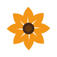 beautiful flower icon over white background. vector illustration