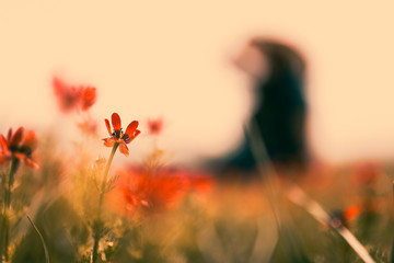 free women in the spring