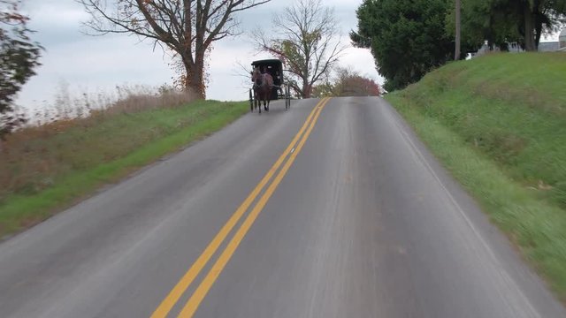 CLOSE UP: Traditional Amish families traveling in horse-drawn buggy past maize fields in picturesque agricultural village. Simple Amish people driving through the town in carriage on cloudy autumn day