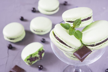 Mint macarons with chocolate ganache on the grey background.