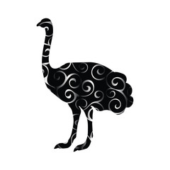 Ostrich bird color silhouette animal