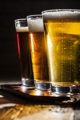Assorted beers in a flight ready for tasting
