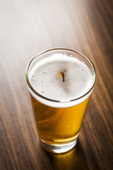 Glass of beer on wooden background