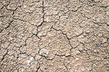 the cracked growth close up