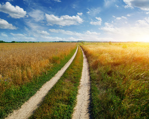 road in field